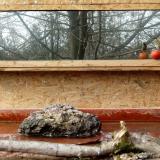 photo 2022-02-05 12-04-06