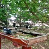 photo 2022-05-23 12-32-01