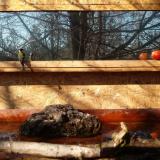 photo 2022-02-10 10-39-06