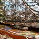 photo 2022-02-17 10-23-42