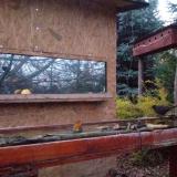 photo 2022-11-13 16-22-47