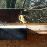 photo 2023-02-06 11-50-39