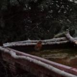 photo 2022-02-17 17-10-09 vorosbegy