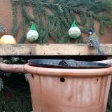 photo 2024-01-07 11-55-44