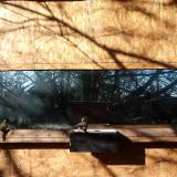 photo 2023-02-05 09-38-38