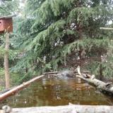 photo 2023-04-01 11-16-54