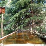 photo 2023-03-31 12-01-59