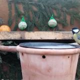 photo 2024-01-14 08-14-12