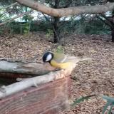 photo 2022-10-16 17-19-57