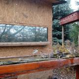 photo 2022-11-28 12-32-50