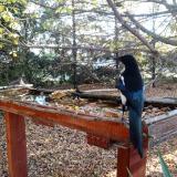 photo 2022-10-20 08-25-36