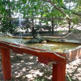 photo 2022-07-23 12-20-47