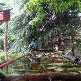 photo 2023-05-18 13-05-28