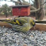 393173595 341468435259444 4461680920819905317 n