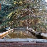 photo 2023-03-19 06-37-31