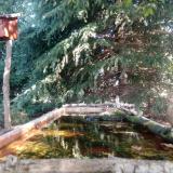 photo 2023-09-27 10-31-41