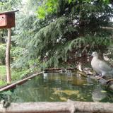 photo 2023-05-02 15-56-20