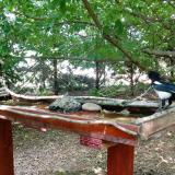 photo 2022-06-08 14-51-25