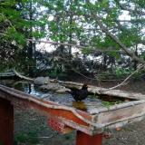 photo 2022-04-17 17-20-48