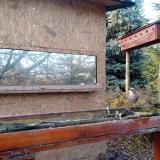 photo 2022-11-28 14-50-44