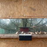 photo 2023-01-24 13-10-00