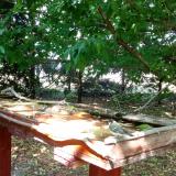 photo 2022-05-16 15-06-24