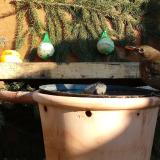 photo 2024-01-11 13-14-45