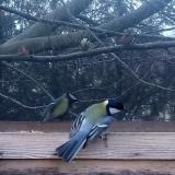 photo 2023-01-05 14-26-18