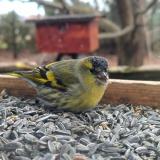 385542029 1387519448514353 345007795698705386 n