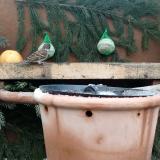 photo 2024-01-08 12-20-30