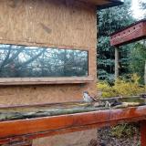 photo 2022-11-17 11-59-09