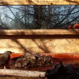 photo 2022-02-03 09-48-11