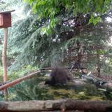 photo 2023-06-08 12-03-18