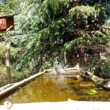 photo 2023-04-05 14-35-10