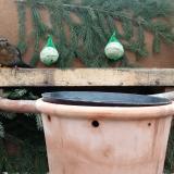 photo 2024-01-13 09-49-26