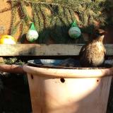 photo 2024-01-11 13-16-46