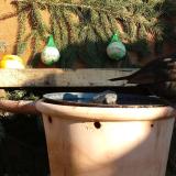 photo 2024-01-11 13-16-04