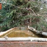 photo 2023-03-20 08-46-09