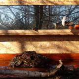 photo 2022-02-05 10-42-18