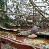 photo 2022-02-20 12-27-49