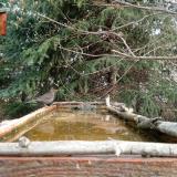 photo 2023-03-20 08-45-33