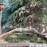 photo 2023-09-28 10-34-12