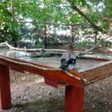 photo 2022-06-20 18-27-01