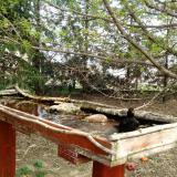 photo 2022-04-08 12-37-57