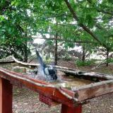 photo 2022-05-30 13-58-47