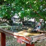 photo 2022-05-12 16-27-25