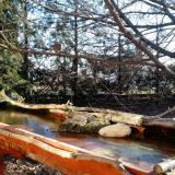 photo 2022-02-24 08-21-27