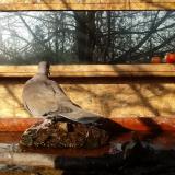 photo 2022-02-11 09-18-00