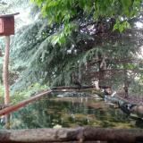 photo 2023-06-08 12-03-39