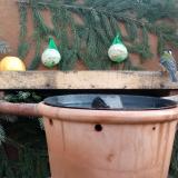 photo 2023-12-30 09-36-21